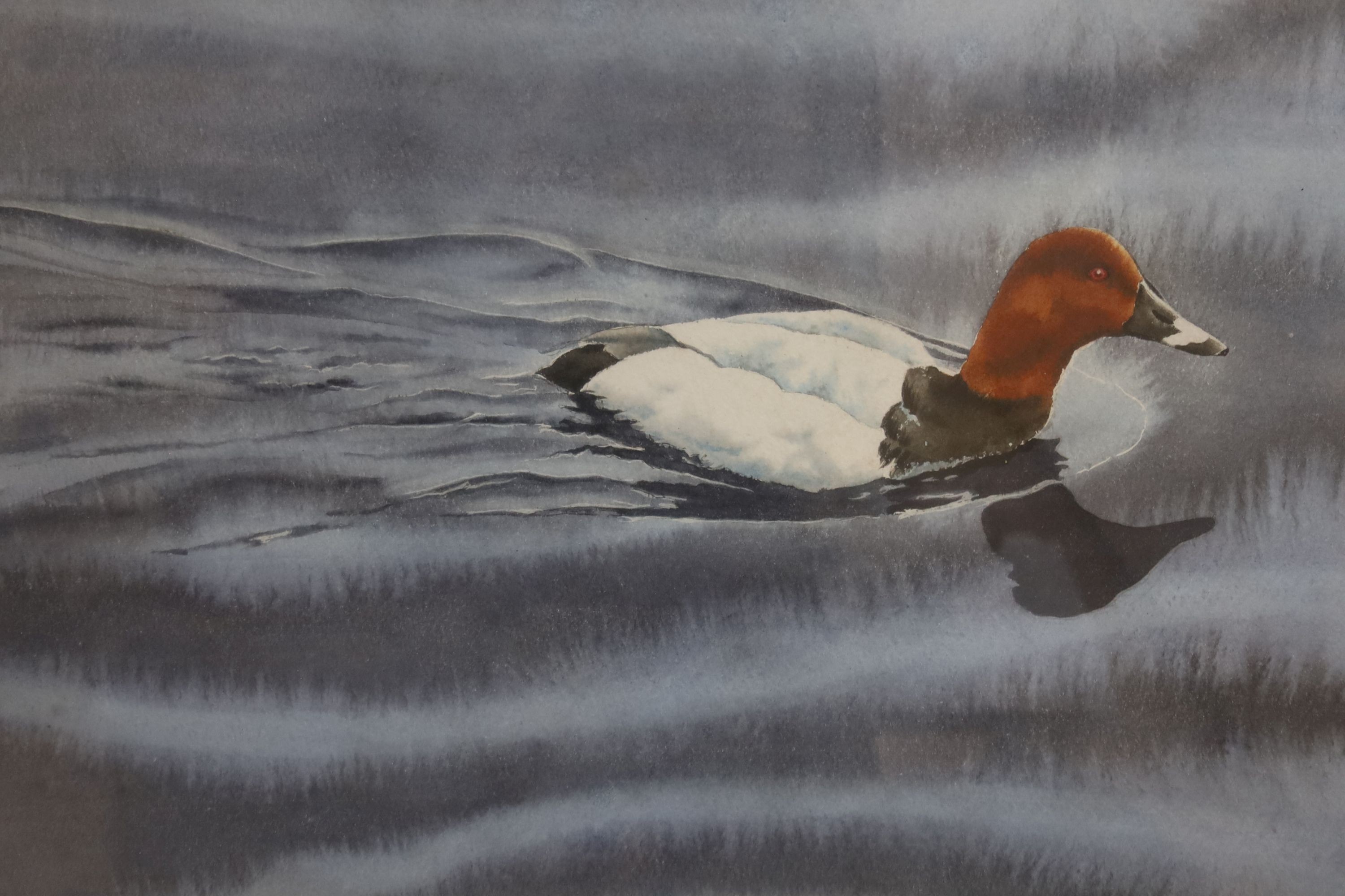 Michael Hampton, watercolour, Duck on the water, signed and dated '75, 33 x 51cm